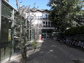 Schule