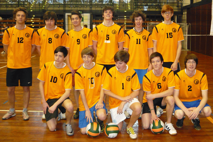 Volleyball Knaben