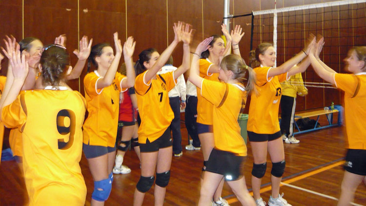 Volleyball