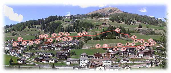 Berberitze