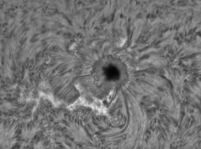 Sonnenfleck vom 18.05.16