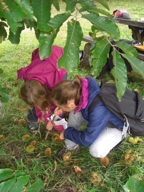 Herbstausflug Gs Tabland