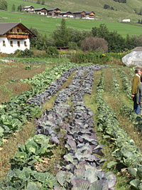 Biobauernhof