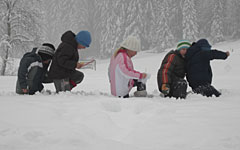 Stapfen durch den Schnee